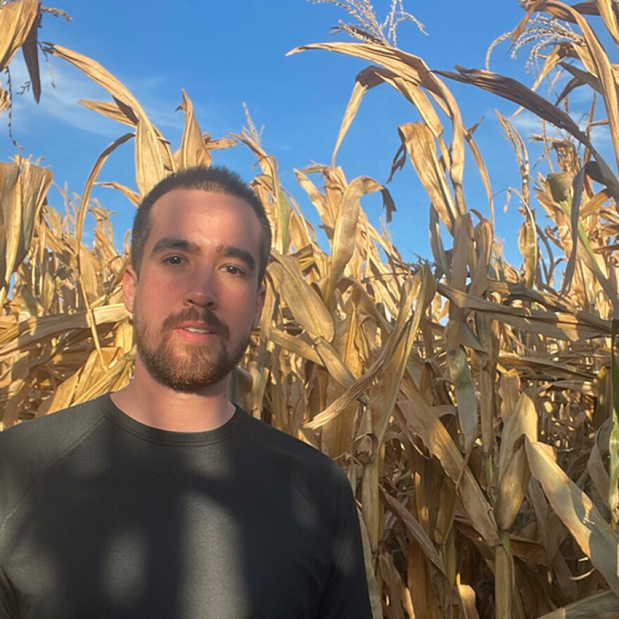 A man with short hair and a beard stands in front of tall, dry corn stalks under a clear blue sky, with sunlight casting shadows on his face and shirt.
