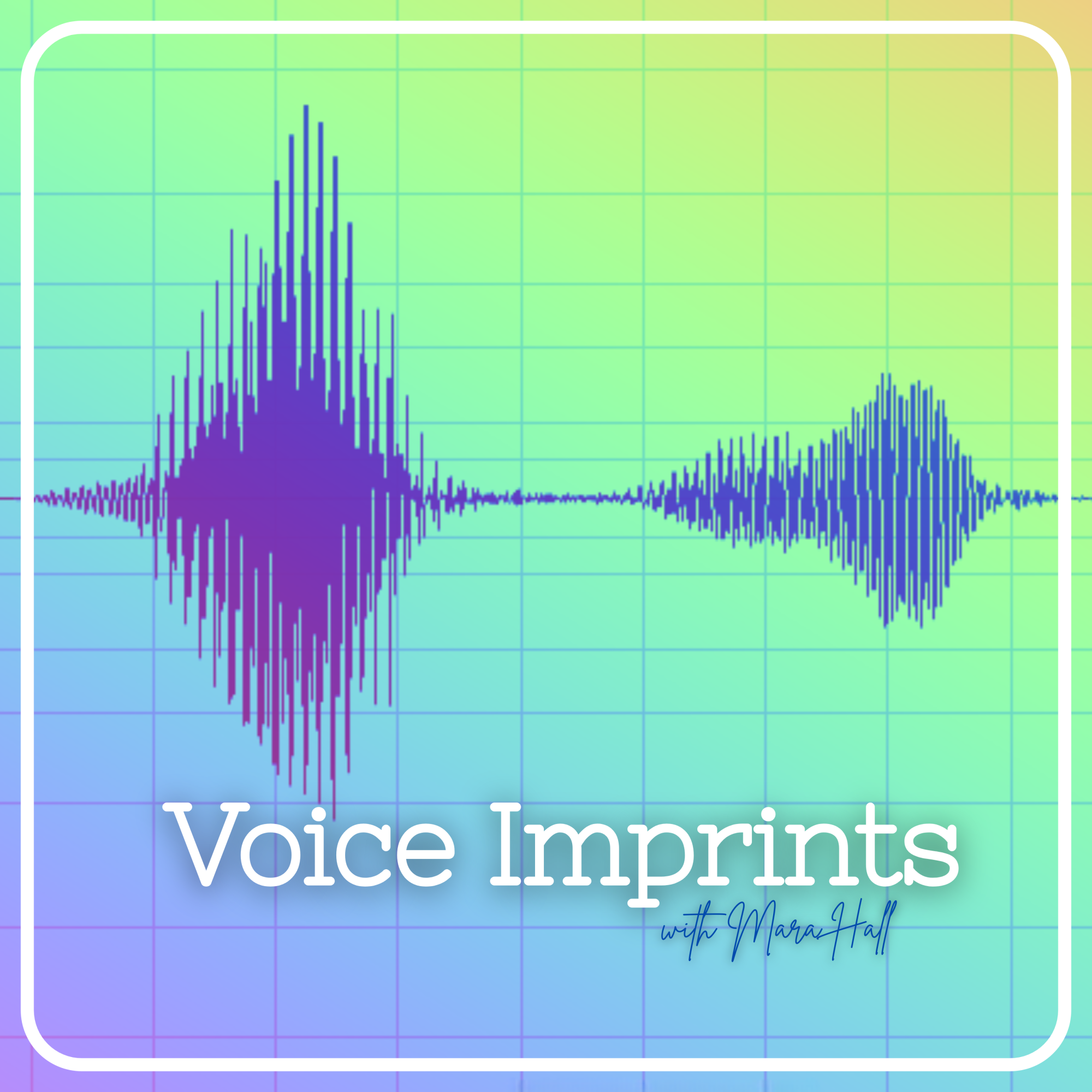 Voice Imprints