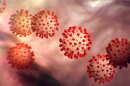 coronavirus 3 hero