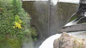 One of the dams to be destroyed in the Elwha River restoration project. A fish hatchery slated to be part of the restoration has raised concerns.