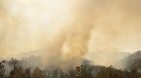 About 2,500 acres in and around Shenandoah National Park have burned, but many trees survive.