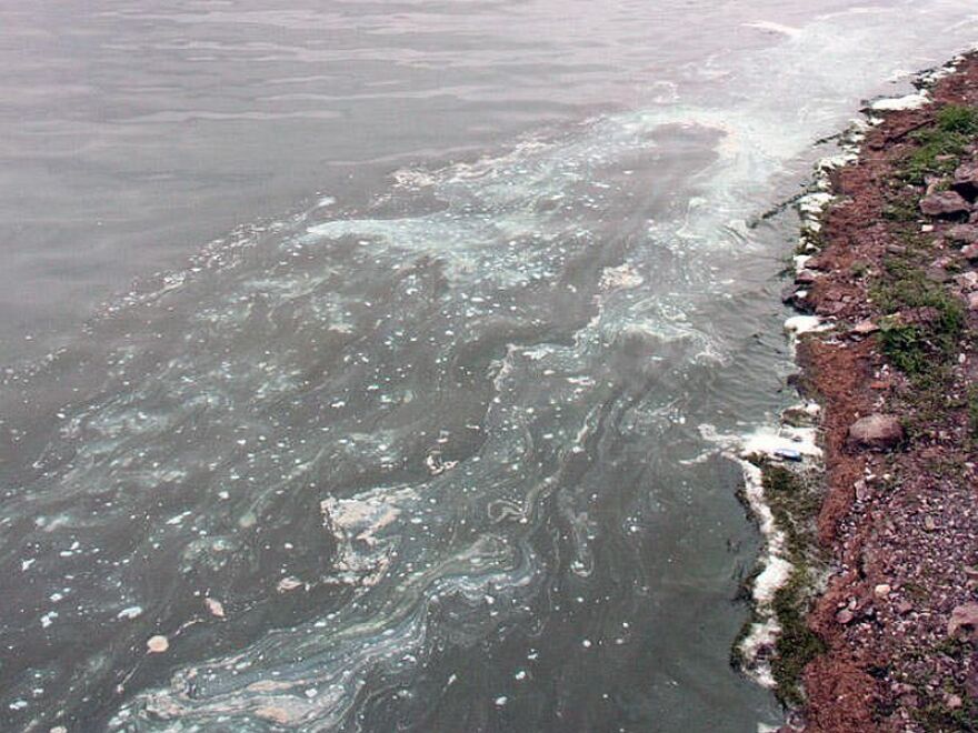 Blue-green algae blooms in the summer of 2014 in Lake Champlain.