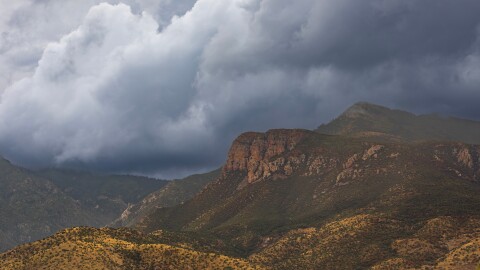 Light rain falling in Miller Canyon in southern Arizona's Huachuca Mountains during the Southwest's monsoon season.