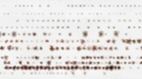 Untitled (Tree Nursery), Neuss, 2005. Chromogenic print. Gift of the Hall Family Foundation, 2007.21.16. Courtesy Andreas Gefeller / HASTED HUNT, NYC.