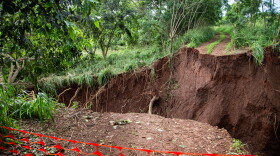 Floodwaters carved out a roughly 60-foot gorge and destroyed a section of an access road at Kamananui Cacao Orchards. (March 16, 2026)