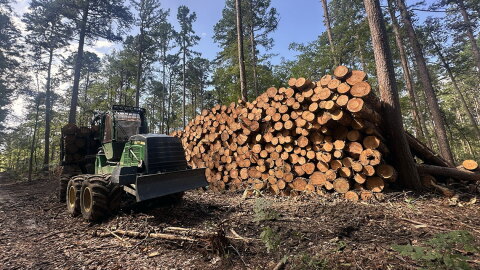 Logging equipment and a pile of felled trees sits less than a mile from the Burke Branch area of the Shawnee, which stands to lose federal protections from new road construction and timber harvesting under a proposal from the Trump administration.