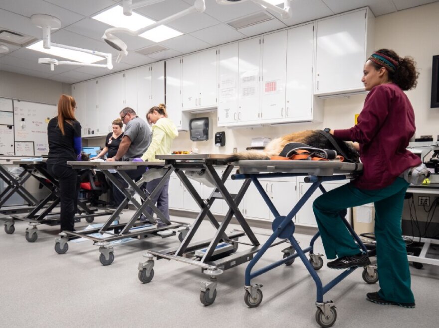 Ohio State University's College of Veterinary Medicine's new Integrated Oncology Suite.