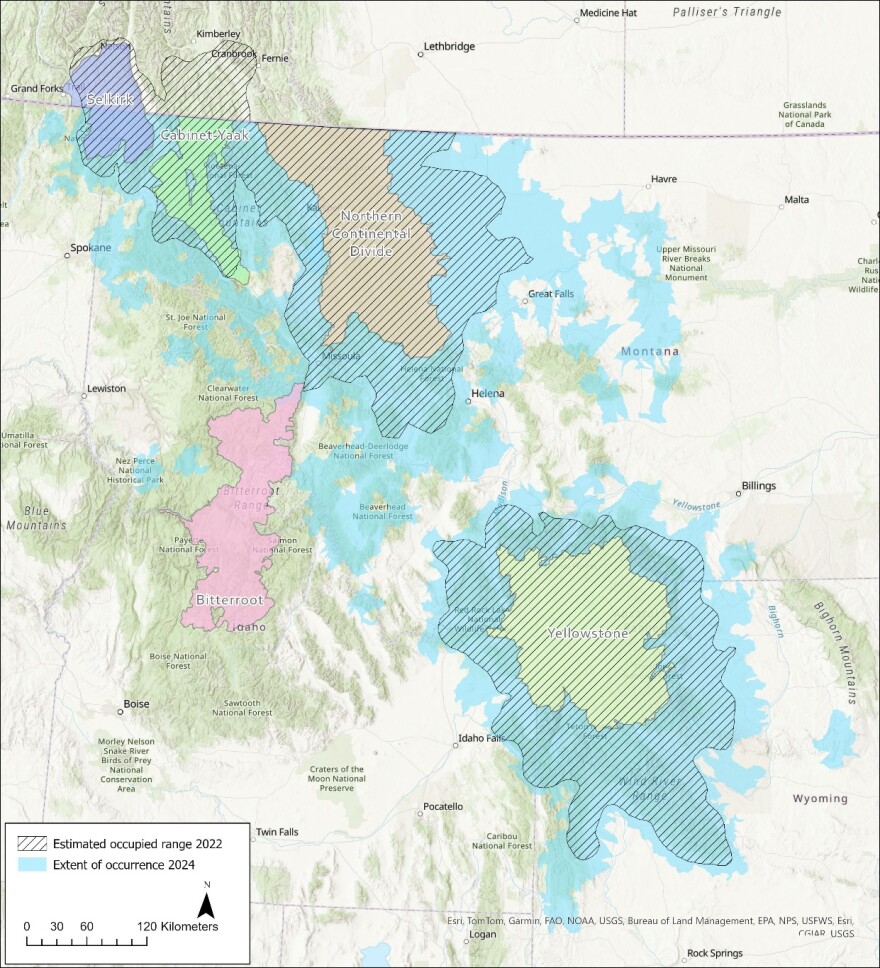 A geographical map showing estimated grizzly bear occupational range as of 2022 and realized range as of 2024 shows less geographical population growth than earlier anticipated.