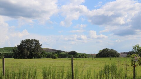 The Florida Department of Environmental Protection is in the process of determining whether the ACMS Heart of Florida Landfill, seen here, is in compliance with environmental regulations. (Rose Schnabel/WUFT News)