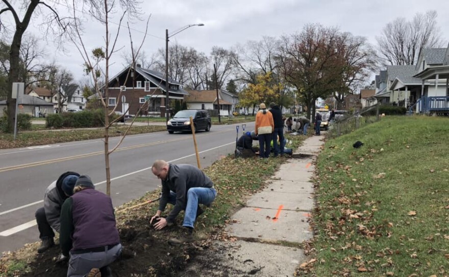 Over 50 volunteers helped plant 27 trees in Elkhart on Saturday