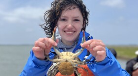 A William & Mary student holds a crab. Demand for undergrad marine science courses has tripled since 2019.