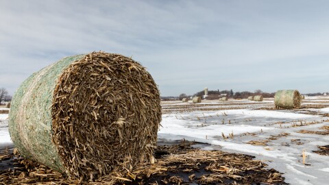 Corn stalk bales sit in a field with snow and mud.