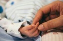 Close-up of an adult hand to the right holding a baby's hand
