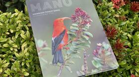 "Manu: Hawaiian Birds," a zine by Bryan Shirota featuring photography of Hawaiʻiʻs native birds. (April 13, 2026).