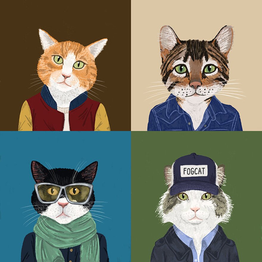 Fantastic Cat