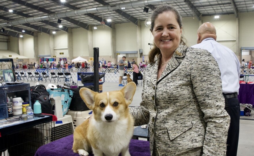 Jennifer Delmer with her Pembroke Welsh corgi, Ruby, who had her 100th breed win on Friday, July 16.