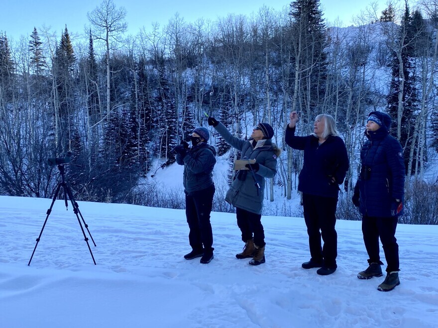 Local birders Liz Bokram, from left, Judy Wender, Ann Larson and Missy Prudden count steller’s jays before the sun hits the Snowmass Ski Area on Dec. 19. The group recorded all the species that they encountered in Snowmass Village and Woody Creek for the ACES’ Christmas Bird Count.
