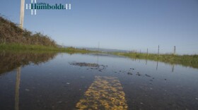 Flood waters from the Eel River spill onto a road in Loleta.