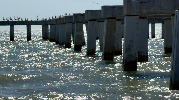 The Fort Myers Beach pier’s pilings remain stripped of their original platform, preventing beachgoers from walking more than 585 feet out into the Gulf, creating and attracting fishermen, marine life, and flocks of pelicans and seagulls. Currently, it remains not only a gathering spot for pelicans, but also for beachgoers, according to Ellie Bunting, president of the Estero Island Historic Society.