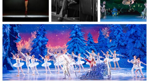 Performance photos from Ballet Idaho, Boise Contemporary Theater and LED