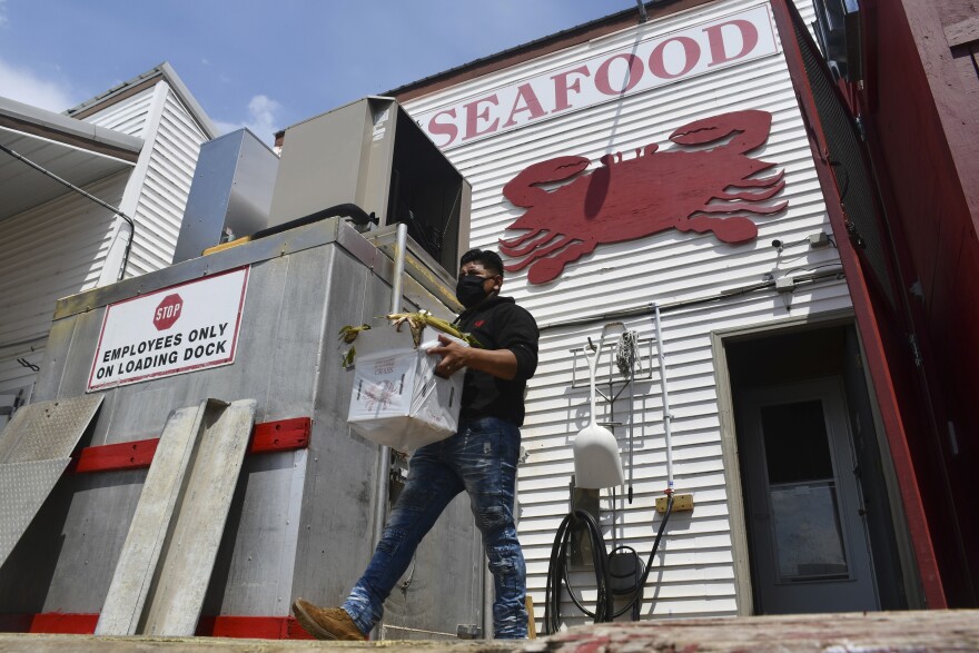 In this image for the Howard Center for Investigative Journalism at the University of Maryland's Philip Merrill College of Journalism, a Lindy's worker carries crabs and corn onto a loading dock April 21, 2021, in the company's Woolford, Md., location. The company on Chesapeake Bay hires local and migrant workers to process live crabs, crab meat and oysters.