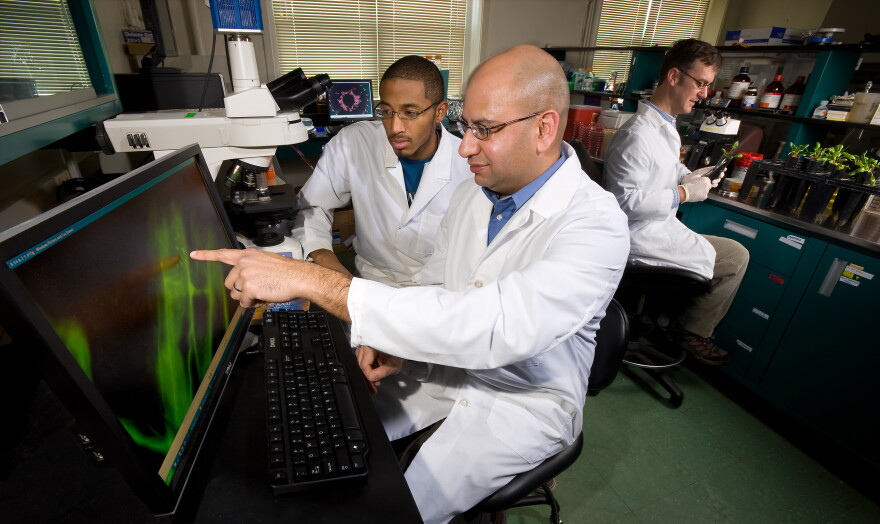 Two men in lab coats look at a computer screen showing bacteria, one points to show a specific area