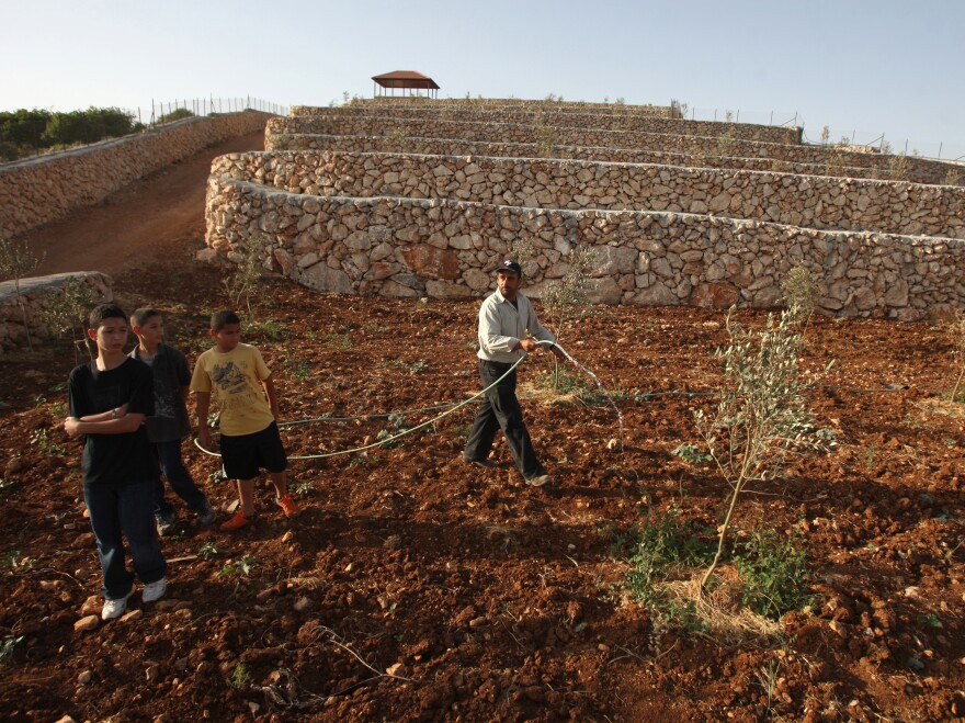 Palestinian Amer Dhabreh waters trees on his land in the village of Ein Yabrud, near the West Bank city of Ramallah, on June 10. Dhabreh believes that rehabilitating his land, which falls in Area C, will protect it from Jewish settlements and Israeli restrictions.