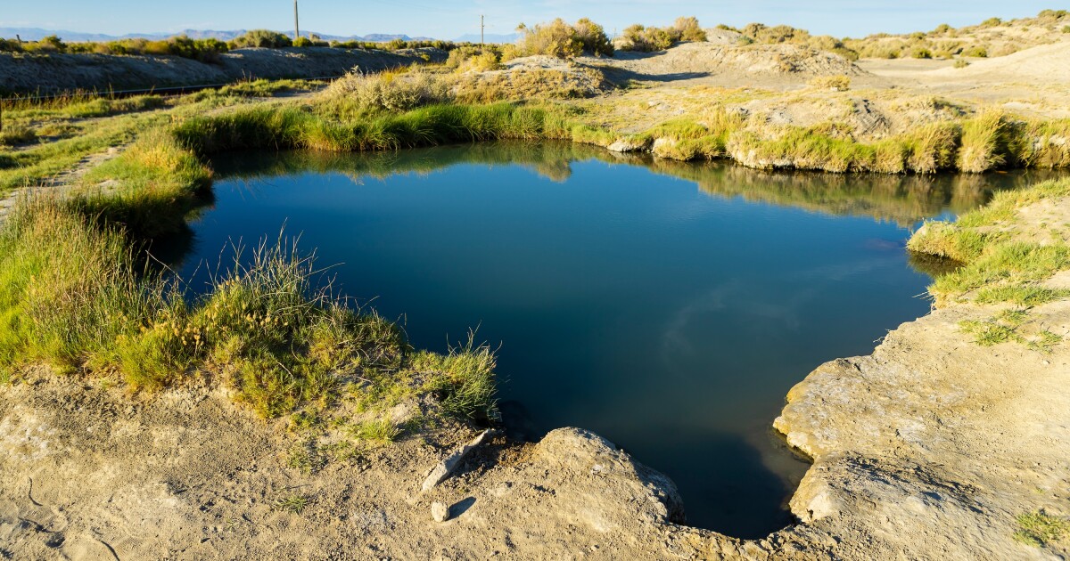 A Nevada groundwater tool highlights strained habitats, with lessons for the Mountain West