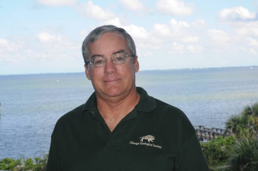 Randy Wells, recently retired director of the Sarasota Dolphin Research Program