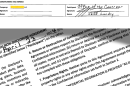 An illustration shows the mutual nondisclosure agreement Gov. Jeff Landry signed on behalf of the "Office of the Governor" with an LLC in April 2024. LED released the document in response to a request for records involving Meta or Laidley LLC, Meta’s data center subsidiary.