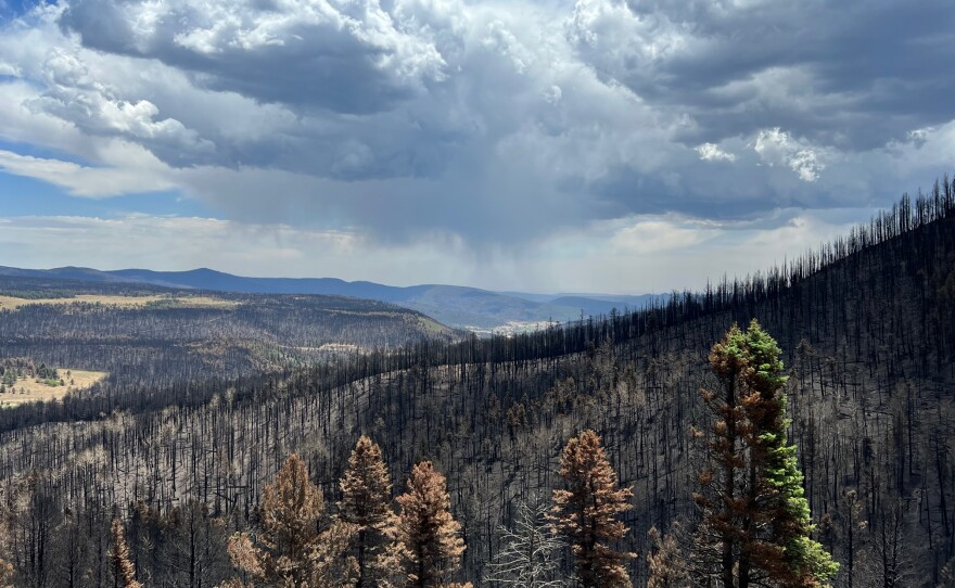 The burn scar of the Hermits Peak-Calf Canyon fire pictured Thursday, June 9, 2022.