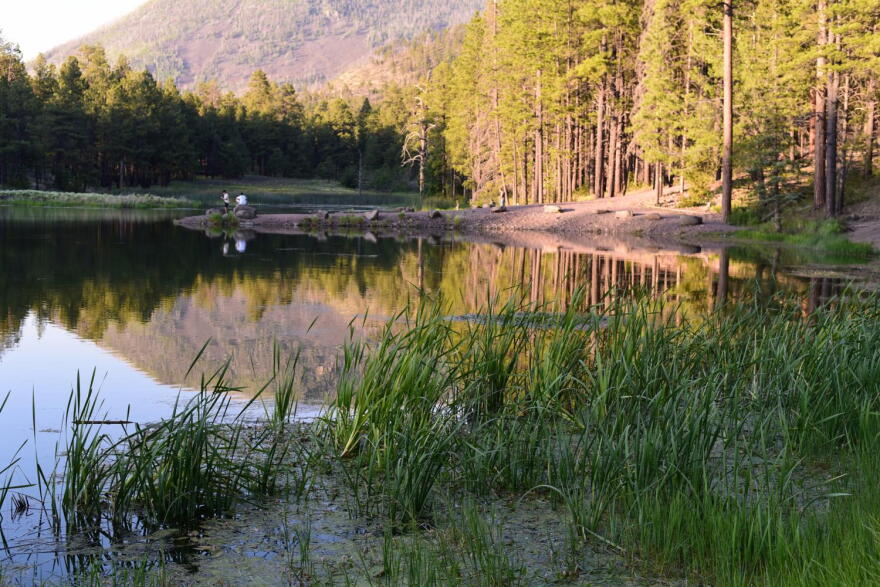 Lake with green grass in the foreground
