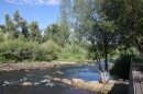 The Yampa River has low water levels.