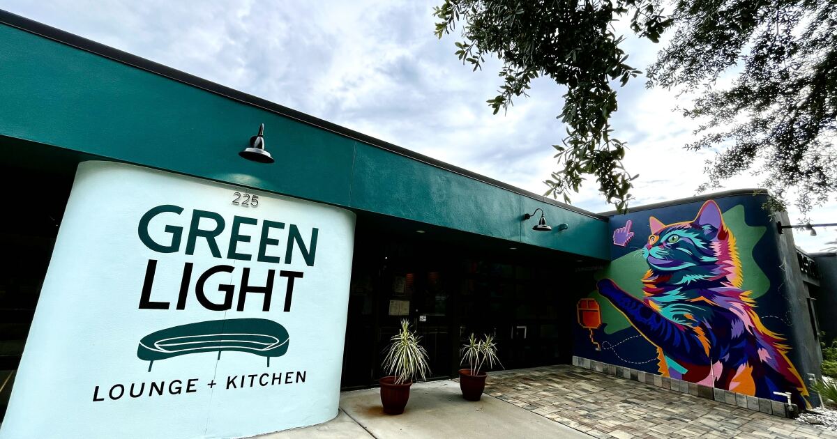 Green Light Cinema Steps Up to Support St. Petersburg Arts Scene - News Directory 3