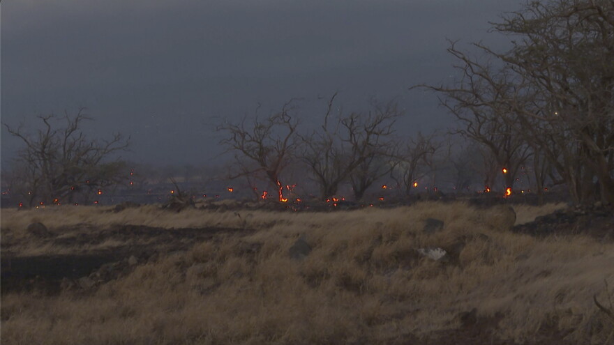 Flames from a wildfire burn in Kīhei, Hawaiʻi Wednesday, Aug. 9, 2023. Thousands of residents raced to escape homes on Maui as blazes swept across the island, destroying parts of a centuries-old town in one of the deadliest U.S. wildfires in recent years.