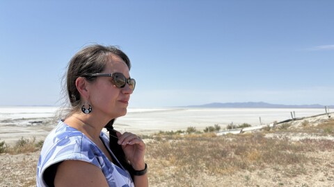 A person standing in a mostly barren field looks out.