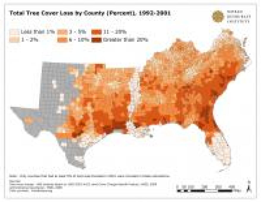 Orange areas represent tree loss.