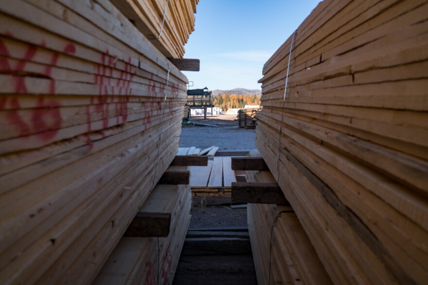Autumn larches peeking between stacks of lumber at Pyramid Mountain Lumber Company, October 18, 2018.