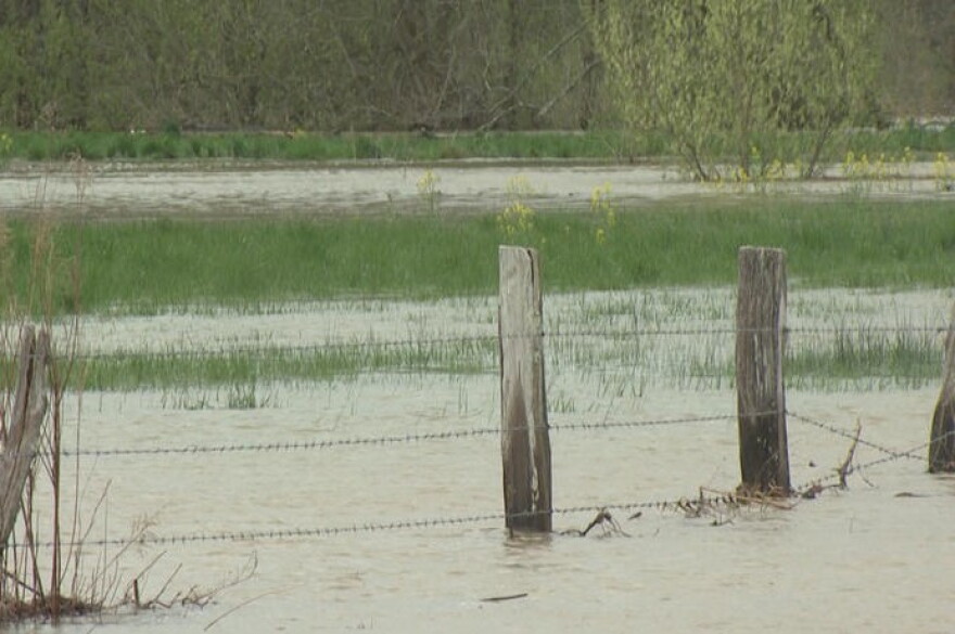 (Steve Burns/WTIU)