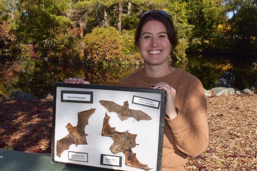 Niki Desautels holds up bat specimens from the Northwest, courtesy of Bats Northwest.