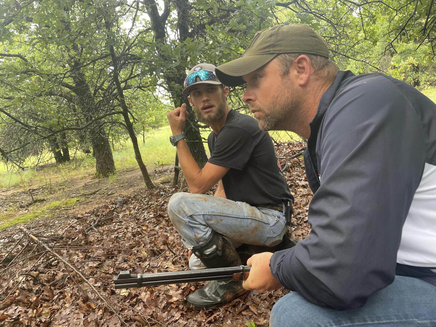 Feral Hogs Run Rampant Across The Midwest. But Hunting May Hurt More