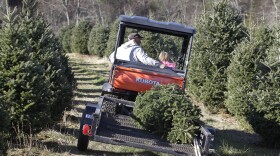 Bobby Maines, left, rides with his grand-daughter, Alyssia Maines, 6, right, as they carry a Christmas tree for a customer at Maines Tree Farm in Glade Valley, N.C., Friday, Dec. 2, 2011