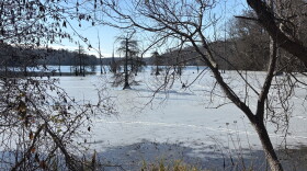 A view of Sunken Meadow Pond in Surry County during icy weather in January.