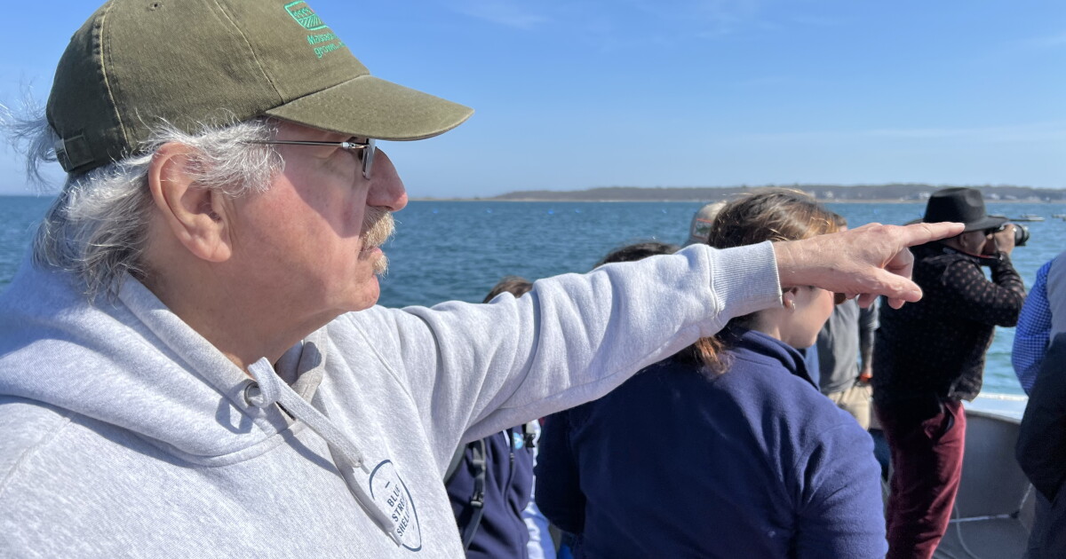 Shellfish closures threaten South Coast oyster farms