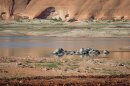 Declining water levels expose a pile of tires at Lake Powell in southern Utah, April 29, 2026. After this winter’s snow drought, the vital Colorado River reservoir is forecast to have its worst spring runoff season on record.
