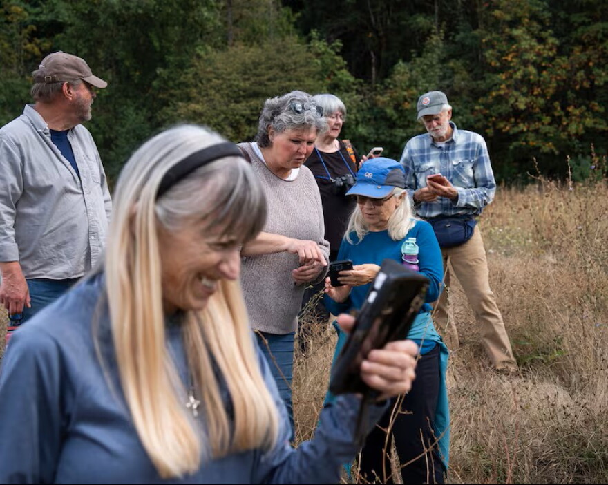 People watch the e-tagged monarchs on the Project Monarch app during the release. The app is free to download, and can allow citizens to "scan" for nearby trackers.