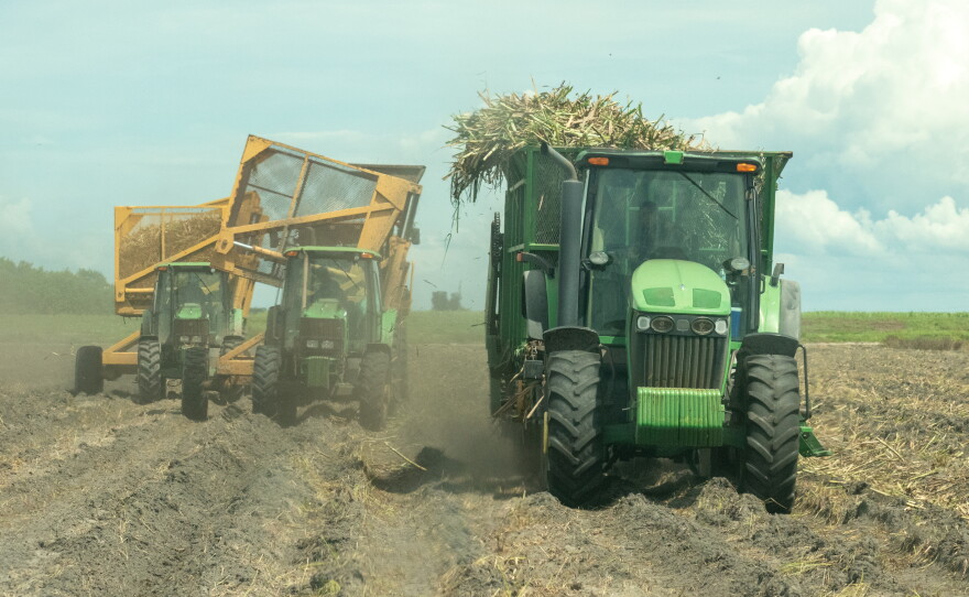 Vehicles replant sugar cane on a field of sand at the Perry family farm in Glades County on Tuesday, Sept. 8, 2026.