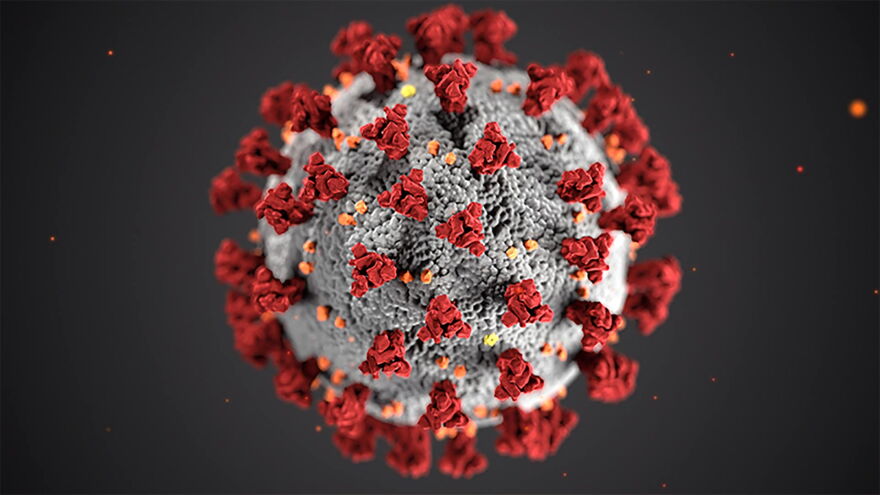 coronavirus hero