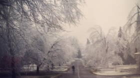 Ice covers a Penfield neighborhood in March 1991