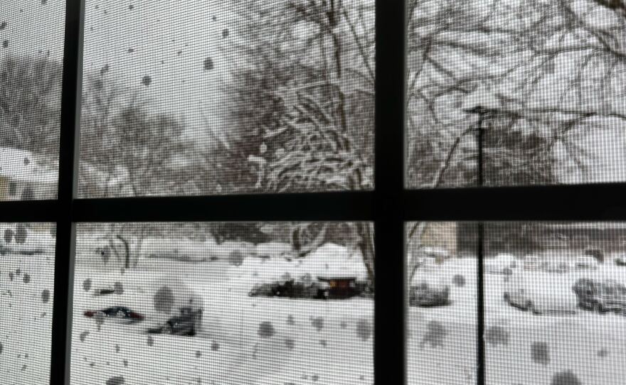 Views from NEPM staff living across western Massachusetts and Connecticut after a storm hit the region on Monday, Feb. 23, 2026.